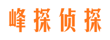 南岔市婚外情调查